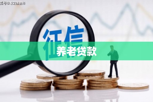 府谷养老贷款