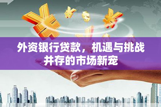 府谷外资银行贷款，机遇与挑战并存的市场新宠