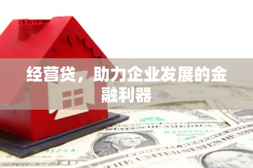 府谷经营贷，助力企业发展的金融利器
