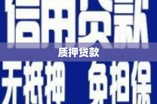 府谷质押贷款