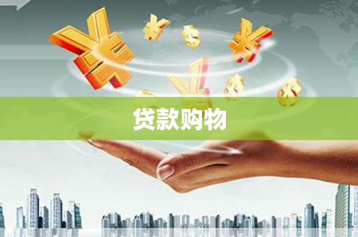 府谷贷款购物