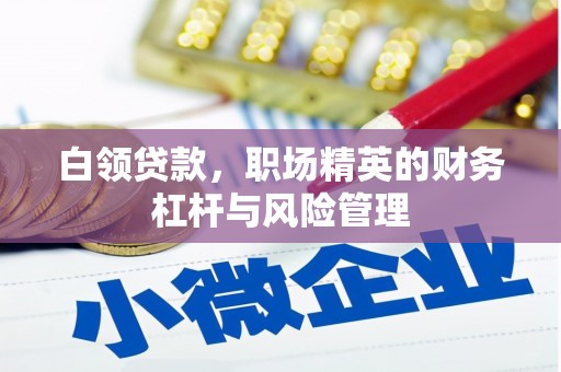 府谷白领贷款，职场精英的财务杠杆与风险管理
