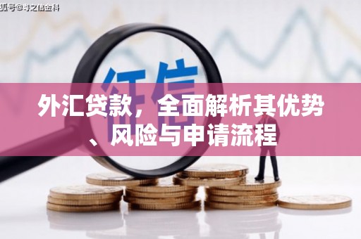 府谷外汇贷款，全面解析其优势、风险与申请流程
