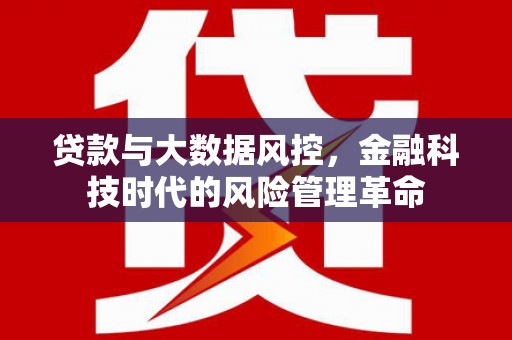 府谷贷款与大数据风控，金融科技时代的风险管理革命
