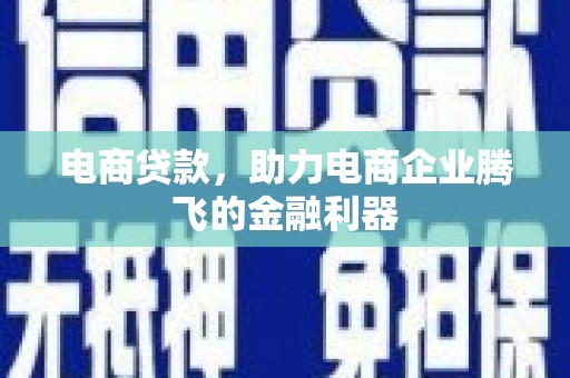 府谷电商贷款，助力电商企业腾飞的金融利器
