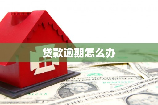 府谷贷款逾期怎么办
