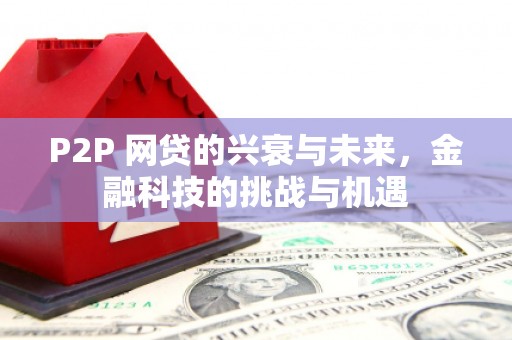 府谷P2P 网贷的兴衰与未来，金融科技的挑战与机遇