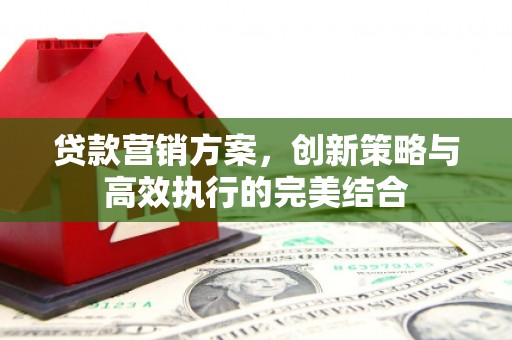 府谷贷款营销方案，创新策略与高效执行的完美结合