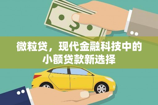 府谷微粒贷，现代金融科技中的小额贷款新选择