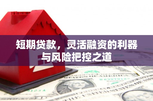府谷短期贷款，灵活融资的利器与风险把控之道