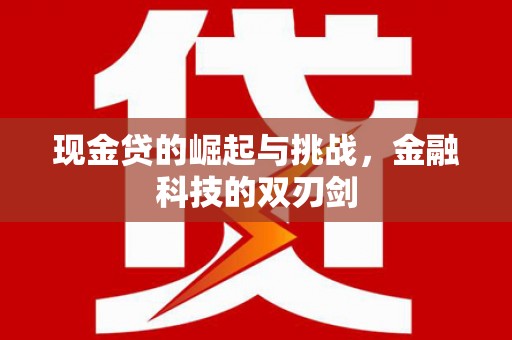 府谷现金贷的崛起与挑战，金融科技的双刃剑