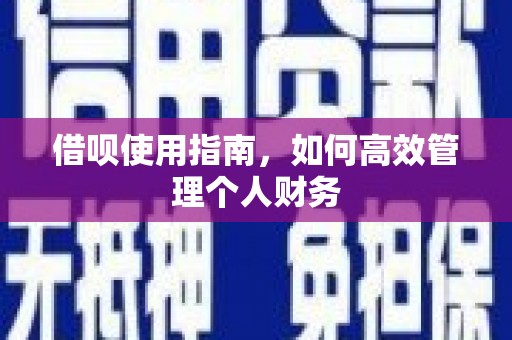 府谷借呗使用指南，如何高效管理个人财务