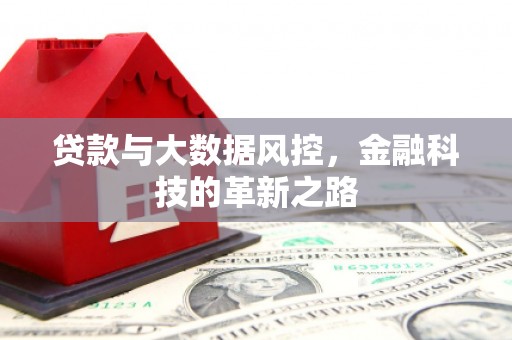 府谷贷款与大数据风控，金融科技的革新之路