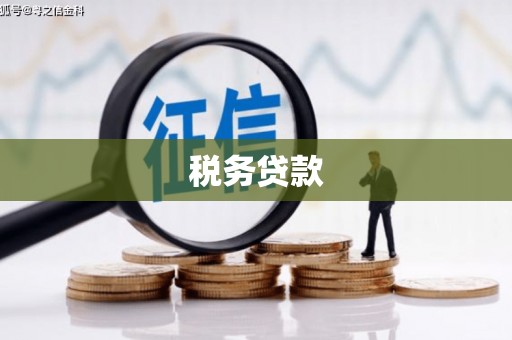 府谷税务贷款