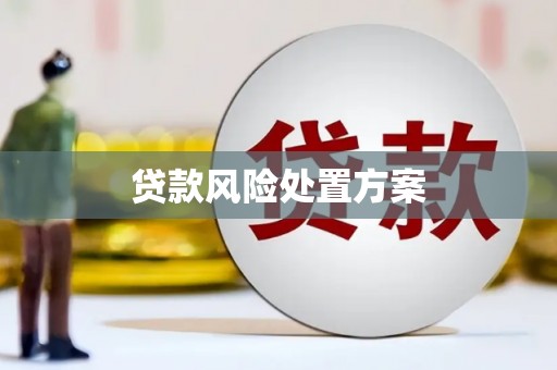 府谷贷款风险处置方案