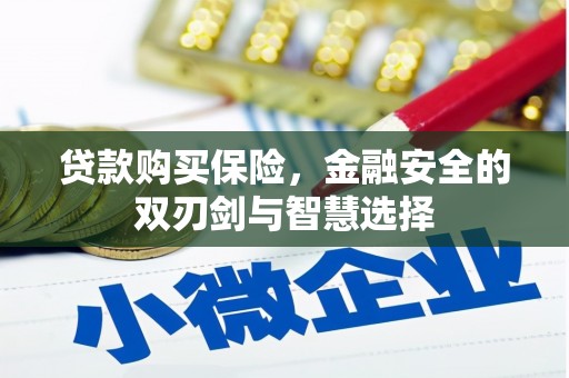 府谷贷款购买保险，金融安全的双刃剑与智慧选择