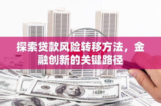 府谷探索贷款风险转移方法，金融创新的关键路径