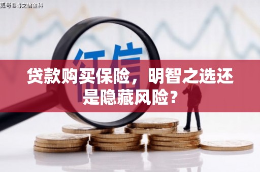 府谷贷款购买保险，明智之选还是隐藏风险？