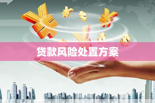 府谷贷款风险处置方案