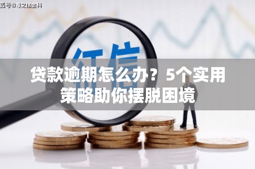 府谷贷款逾期怎么办？5个实用策略助你摆脱困境