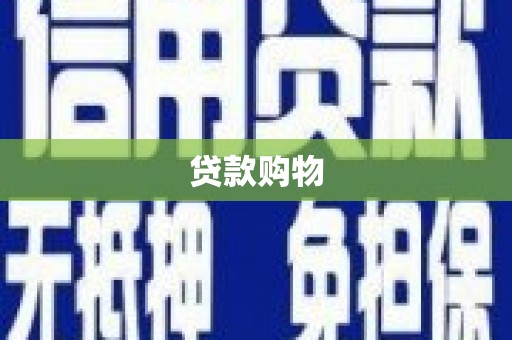 府谷贷款购物