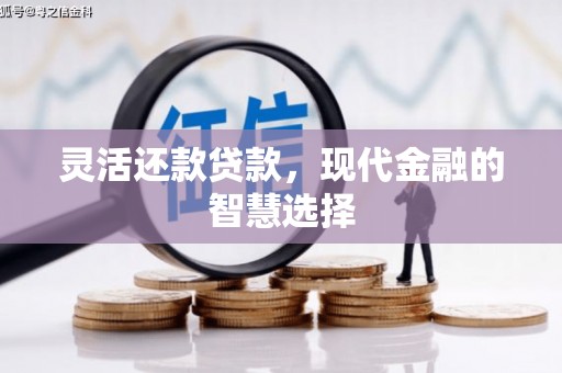 府谷灵活还款贷款，现代金融的智慧选择