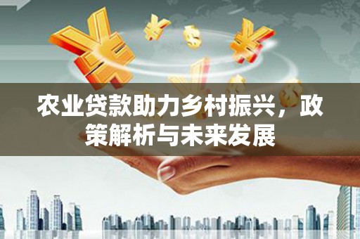 府谷农业贷款助力乡村振兴，政策解析与未来发展