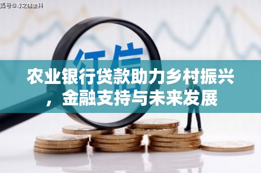府谷农业银行贷款助力乡村振兴，金融支持与未来发展