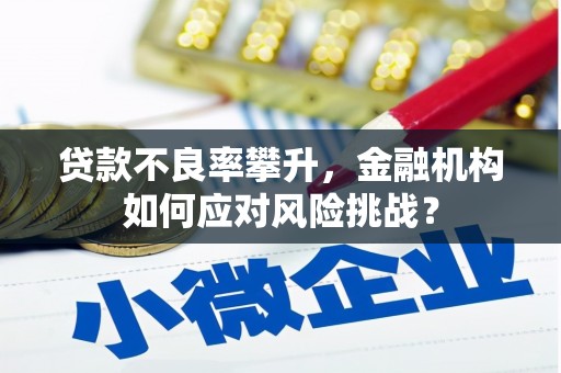 府谷贷款不良率攀升，金融机构如何应对风险挑战？