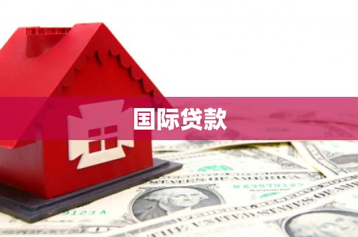 府谷国际贷款