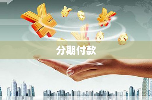 府谷分期付款