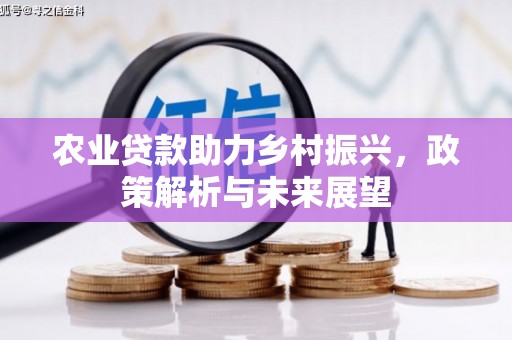 府谷农业贷款助力乡村振兴，政策解析与未来展望