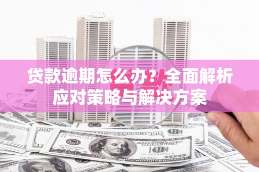 府谷贷款逾期怎么办？全面解析应对策略与解决方案