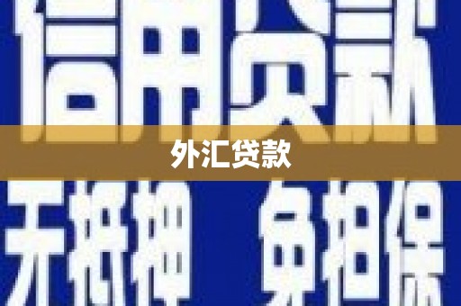 府谷外汇贷款