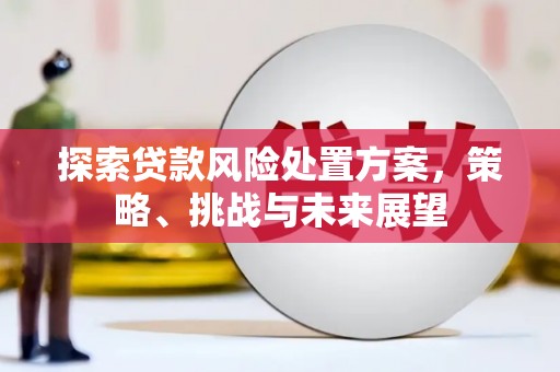 府谷探索贷款风险处置方案，策略、挑战与未来展望
