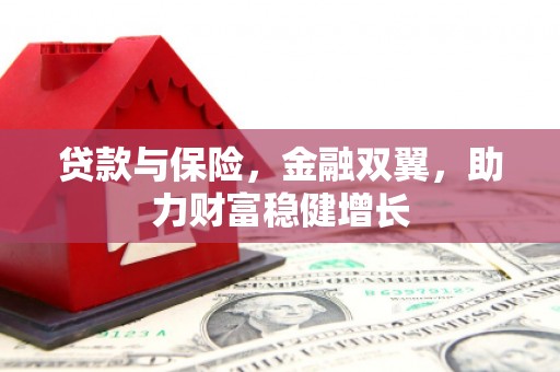 府谷贷款与保险，金融双翼，助力财富稳健增长