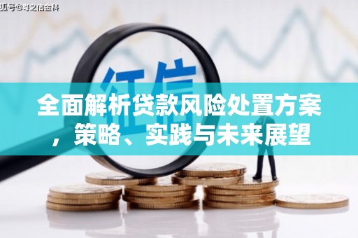 府谷全面解析贷款风险处置方案，策略、实践与未来展望