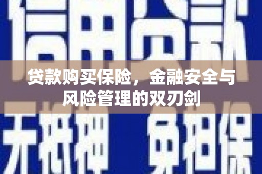 府谷贷款购买保险，金融安全与风险管理的双刃剑