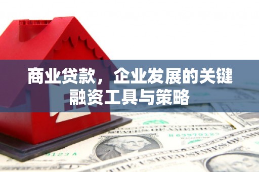 府谷商业贷款，企业发展的关键融资工具与策略