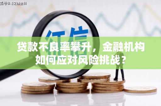 府谷贷款不良率攀升，金融机构如何应对风险挑战？