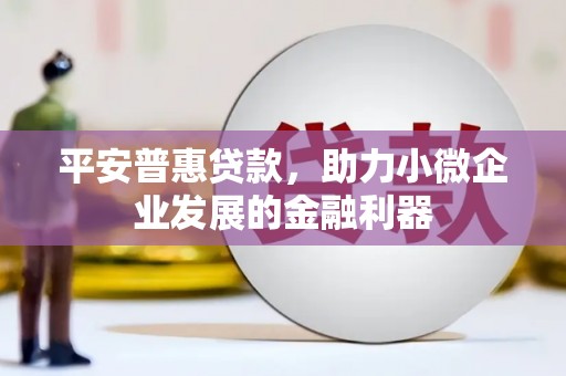 府谷平安普惠贷款，助力小微企业发展的金融利器