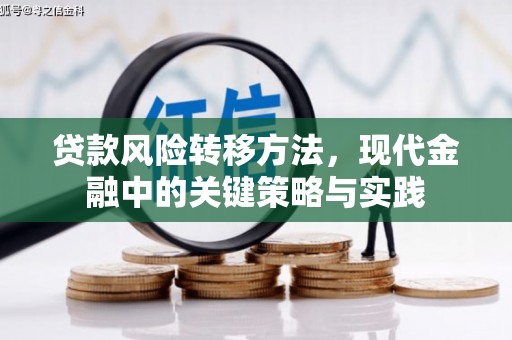 府谷贷款风险转移方法，现代金融中的关键策略与实践