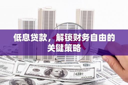 府谷低息贷款，解锁财务自由的关键策略
