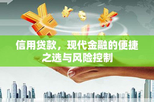 府谷信用贷款，现代金融的便捷之选与风险控制