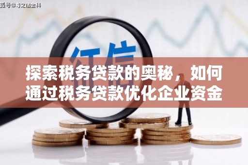 府谷探索税务贷款的奥秘，如何通过税务贷款优化企业资金流