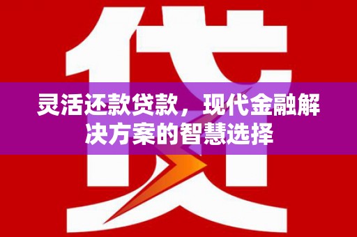府谷灵活还款贷款，现代金融解决方案的智慧选择