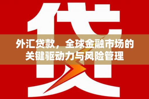 府谷外汇贷款，全球金融市场的关键驱动力与风险管理