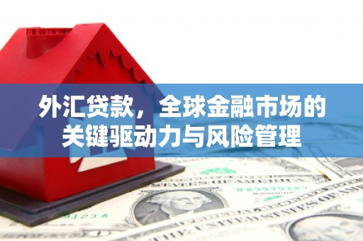 府谷外汇贷款，全球金融市场的关键驱动力与风险管理