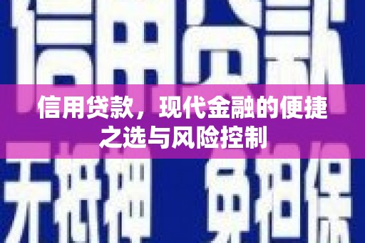 府谷信用贷款，现代金融的便捷之选与风险控制