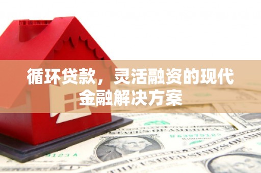 府谷循环贷款，灵活融资的现代金融解决方案